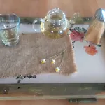 Penzion Eco Mila Rogaška Slatina