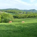 Eco Mila 3*