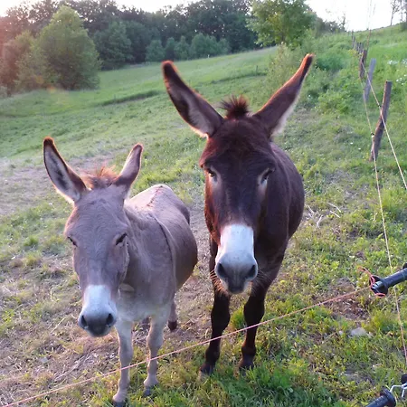 Eco Mila 3* Rogaška Slatina
