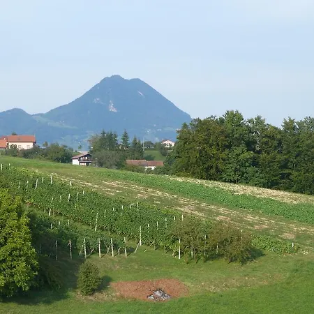 Pensjonat Eco Mila Rogaška Slatina