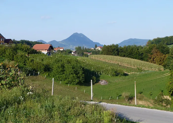 ゲストハウス Eco Mila 3*