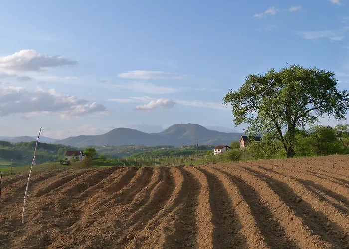 ゲストハウス Eco Mila