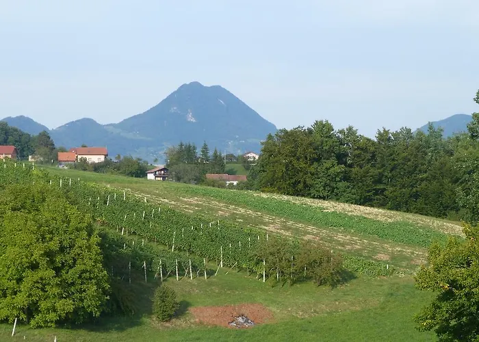 ゲストハウス Eco Mila ロガシュカ・スラティナ